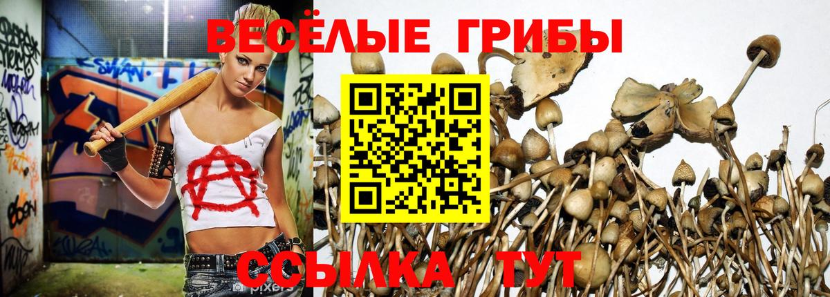 Псилоцибиновые грибы мицелий Чехов