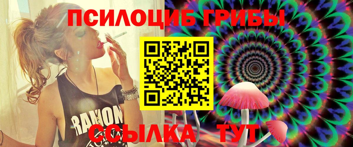 Псилоцибиновые грибы Cubensis  Вход с VPN  Чехов 